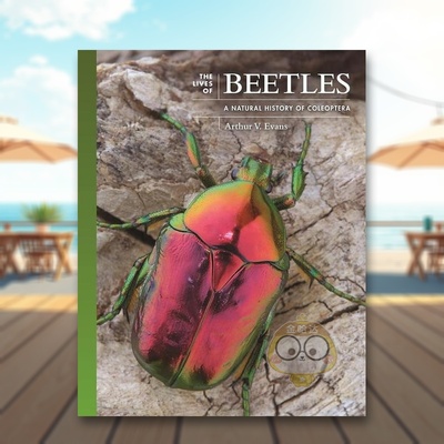 【预售】甲虫的生活：一部鞘翅目动物的自然史 The Lives of Beetles: A Natural History of Coleoptera 原版英文社会科学进口书