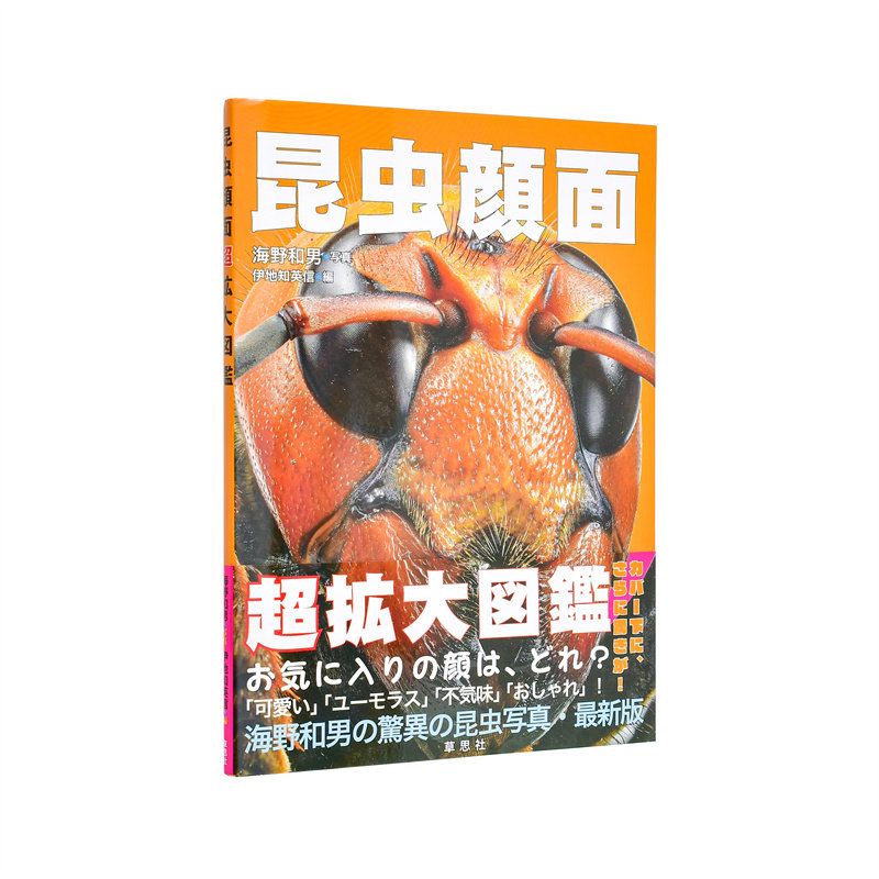 【现货】昆虫的面孔 超大图鉴 昆虫顔面 超拡大図鉴 日文进口原版艺术图书籍日版 伊地知 英信 草思社