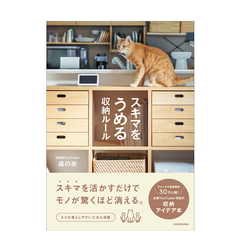 【预售】スキマをうめる収納ル—ル 填补空白的收纳法 日文原版进口