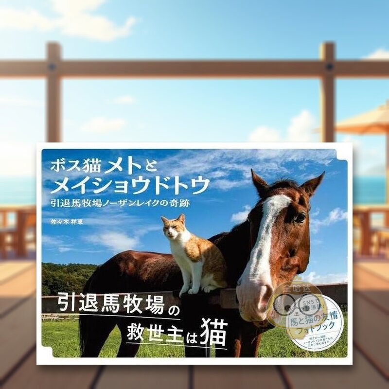 【现货】猫与马的趣事 日文艺术摄影集日版进口原版图书外版书籍ボス猫メトと メイショウドトウ
