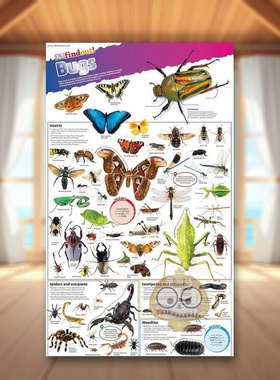 【预售】虫子海报 DKfindout! Poster Bugs 原版英文儿童趣味进口书籍图书外版正版