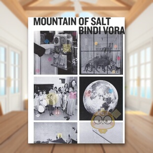 【现货】盐山Mountain of Salt英文摄影集综合作品Bindi Vora简装Perimeter Editions进口原版书书籍图书外版正版