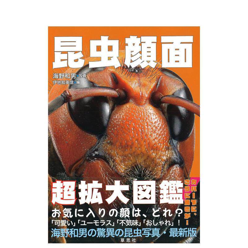 【现货】昆虫的面孔 超大图鉴 昆虫顔面　超拡大図鉴 日文进口原版艺术图书籍日版 伊地知 英信 草思社