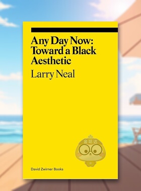 【预售】随时随地： 走向黑色美学 【Ekphrasis】Any Day Now: Toward A Black Aesthetic 原版英文艺术画册画集进口书籍图书外版