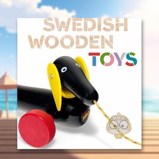 【预售】瑞典木质玩具 Swedish Wooden Toys 原版英文工业产品设计进口书籍图书外版正版