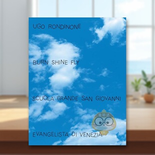 【现货】乌戈罗迪尼燃烧闪耀飞翔Ugo Rondinone英文博物馆展览私人收藏画册Paola GribaudoSkira Editore精装进口原版书4书籍图书