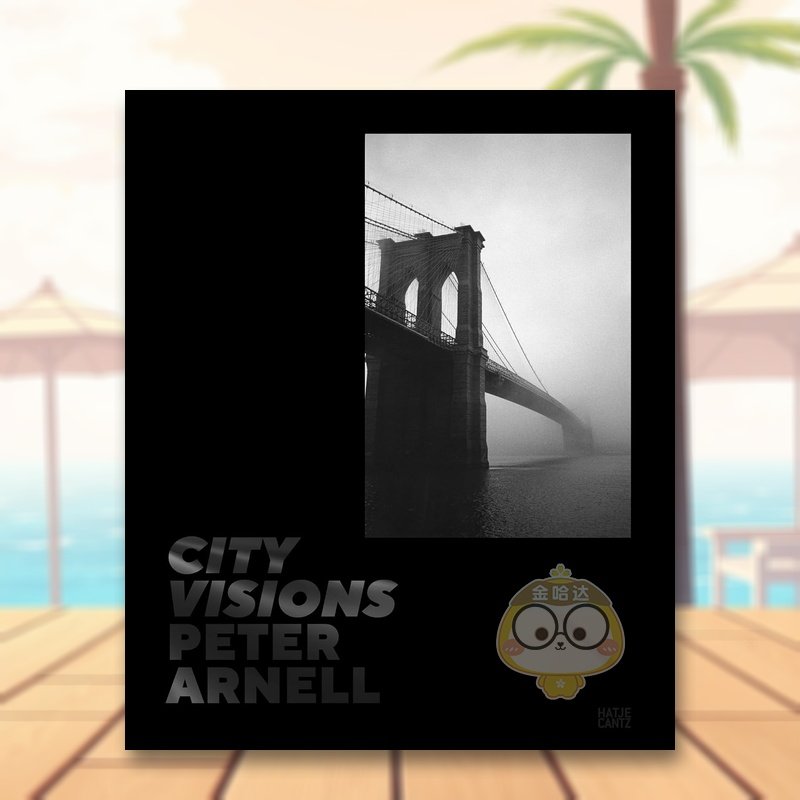 彼得&middot;阿奈尔：城市景象 Pet