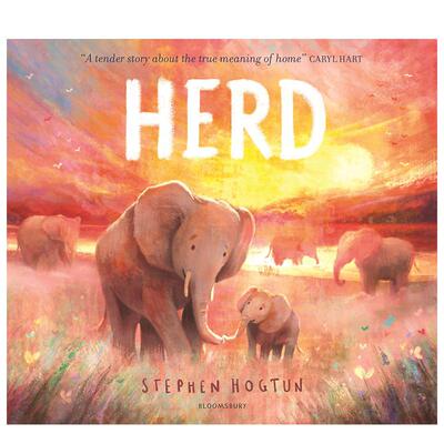 【现货】归群 HERD 原版英文儿童绘本 入围雷恩莱特非虚构奖 Stephen Hogtun 温暖治愈之作