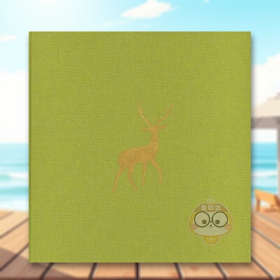 【预售】德保拉.佩特里：伊斯坦布尔故事新编 Paola De Pietri: Istanbul New Stories 原版英文摄影作品集自然景观进口书籍图书外