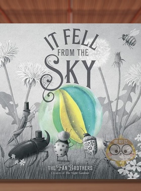 【预售】从天而降英文儿童绘本动物生态环保进口原版书It Fell From The Sky平装3岁-6岁Terry FanFrances Lincoln Publishers书籍