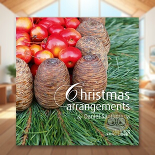 【预售】丹尼尔?圣马里亚的圣诞布置 Christmas Arrangements by Daniel Santamaria 原版英文设计进口书籍图书外版正版