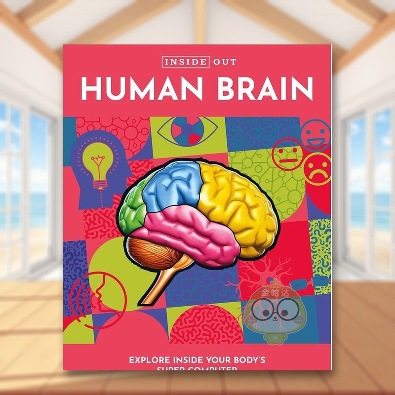 【里里外外】人体大脑