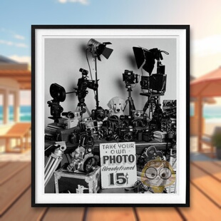 【预售】【TASCHEN限量版】布鲁斯韦伯金毛摄影协会英文摄影精装进口原版书【Art Edition】Bruce Weber. The Golden Retriever书