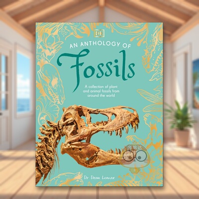 【现货】【DK自然选集】化石 【DK Little Anthologies】An Anthology of Fossils 原版英文儿童绘本 DK