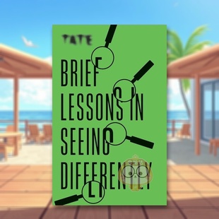 Differently英文艺术总论历史理论评论Frances 书 换个角度看问题Brief 进口原版 Press简装 AmblerIlex Seeing Lessons 现货