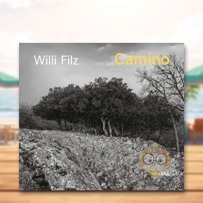 【预售】比利时艺术家Willi Filz英文摄影摄影师专辑进口原版外版书精装14岁以上Willi Filz: Camino Christoph Schaden Kerber书
