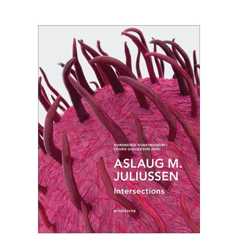 【预售】阿斯劳格?M?尤利乌森：交汇点 Aslaug M. Juliussen : Intersections 原版英文艺术画册画集进口书籍图书外版正版
