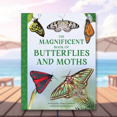 【现货】【神奇大书】蝴蝶和飞蛾大书英文儿童绘本动物生态环保进口原版外版书精装9岁-12岁【The Magnificent Book】Magnificent