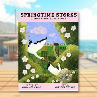 【现货】春天的鹳鸟迁徙的故事进口原版书Springtime Storks : A Migration Love Story精装3岁-6岁Carol Joy Munro Chelsea O'B书