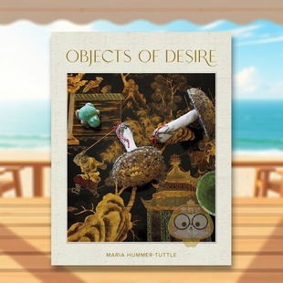 Desire英文博物馆展览私人收藏画册Maria Hummer press进口原版 欲望之物藏品集Objects Tuttlevendome 书865654167书籍 预售