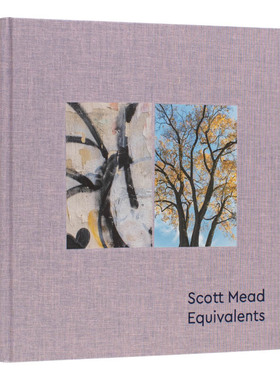 【现货】等价物：斯科特·米德 Equivalents: Scott Mead 英文原版进口外版图书