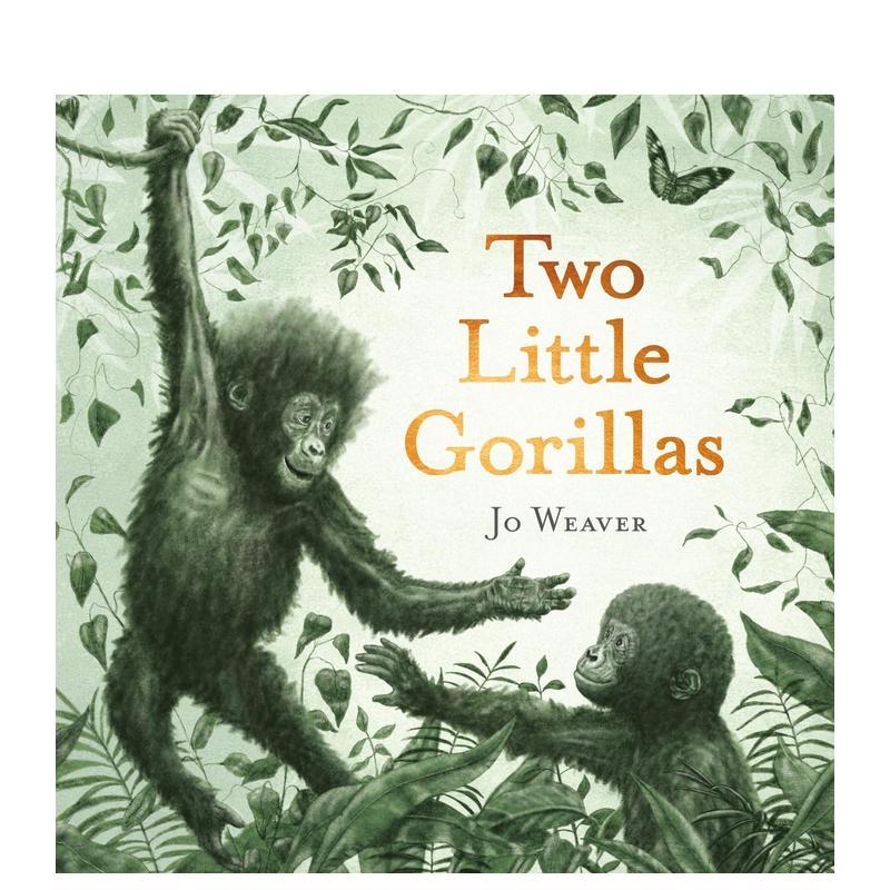 【凯特·格林纳威奖入围作者Jo