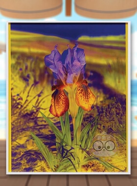 【预售】丽莎·奥本海姆：永恒的替代 Lisa Oppenheim The Eternal Substitute 原版英文艺术画册画集进口书籍图书外版正版