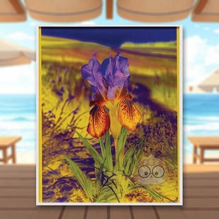 【预售】丽莎·奥本海姆：永恒的替代 Lisa Oppenheim The Eternal Substitute 原版英文艺术画册画集进口书籍图书外版正版