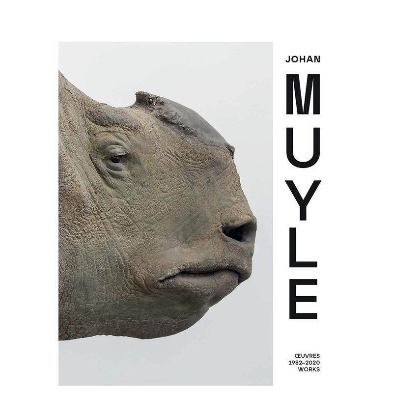 【现货】约翰·穆伊尔 Johan Muyle 原版英文艺术画册画集进口书籍图书外版正版
