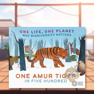 一只 Planet 预售 一个星球：五百只东北虎中 Hundred 英文儿童绘本 Five One 一个生命 Tiger Amur Life 原版
