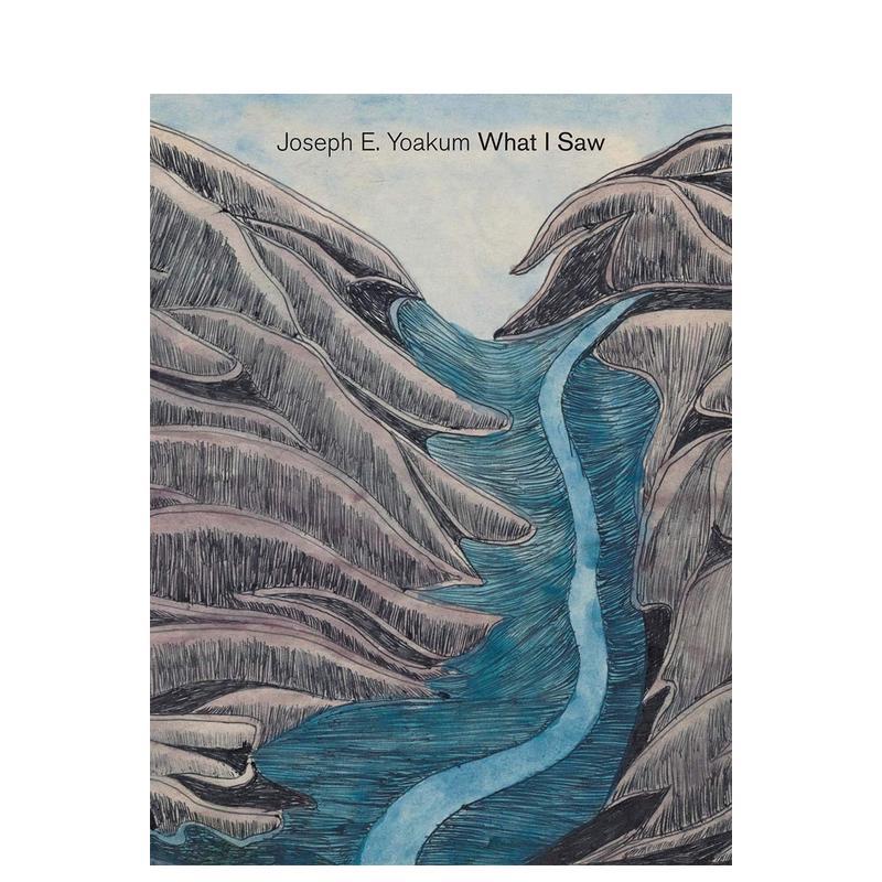 【现货】约瑟夫·e·尤库姆:我所看到的 Joseph E. Yoakum: What I Saw 原版英文艺术画册画集进口书籍图书外版正版