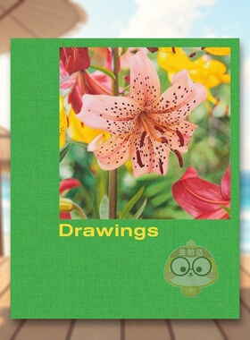 【预售】马修瑟莱蒂图纸Mathew Cerletty英文艺术家艺术工作室Naomi FryKarma Books New York精装进口原版书949172652书籍图书外