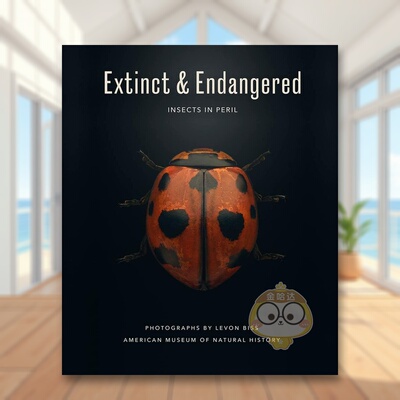 【预售】灭绝与濒危：处境危险的昆虫英文摄影自然景观进口原版外版书精装Extinct & Endangered : Insects in Peril Levon Biss书