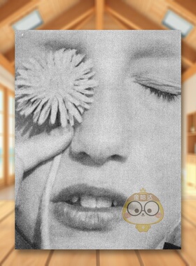 【预售】好的 无回应英文摄影综合作品进口原版外版书简装OK, NO RESPONSE AARON STERN  Twin Palms Publishers书籍图书正版