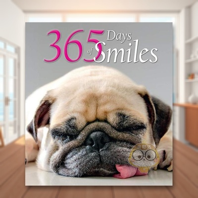 【预售】365天的微笑英文摄影综合作品进口原版外版书精装14岁以上【365 Series】365 Days of Smiles White Star White star书籍