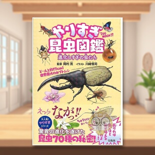 昆虫图鉴 奇妙 日文艺术图鉴日版 进口原版 书籍やりすぎ昆虫図鑑 图书外版 现货