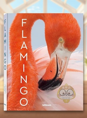 【现货】火烈鸟Flamingo英文摄影集纪实Claudio Contreras Koob精装teNeues进口原版书713875书籍图书外版正版