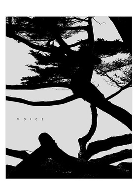 【现货】李俊金:声音 Jungjin Lee:Voice 英文原版图书外版进口书籍