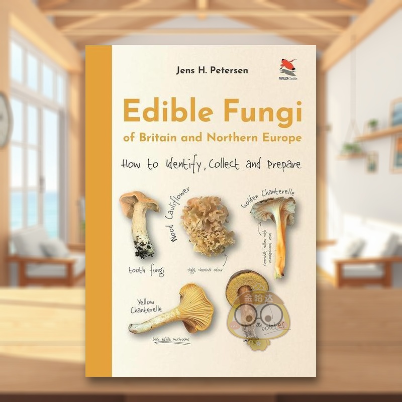 英国和北欧的食用菌：如何鉴定、