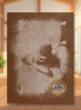 【预售】你指一跟手指 三跟指回来英文摄影摄影师专辑进口原版外版书简装14岁以上Lana Mesi? – When you point a finger, thr书