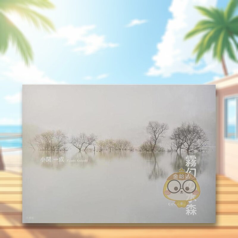 【预售】小关一成摄影作品集 日文艺术摄影集日版进口原版图书外版书籍霧幻の水森