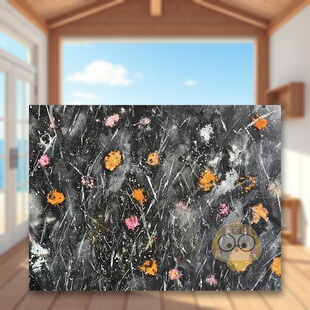 BauerVFMK Kunst精 奥地利艺术家Monika moderne für Verlag Picco英文艺术家艺术工作室Tamina Picco漂浮Monika Kus 预售