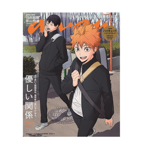 Ｄ１３７ａｎａｎ（ア进口原版