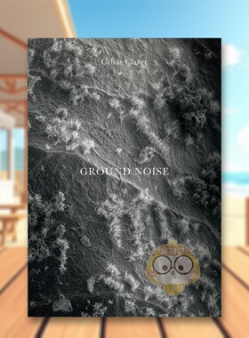 【预售】巨响 法国摄影师Céline Clanet英文摄影自然景观进口原版外版书精装14岁以上Ground Noise Céline Clanet Actes Sud书籍