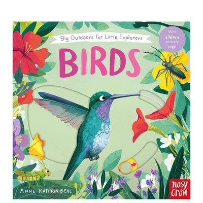 【预售】小小探险家的大户外活动：鸟类 【Big Outdoors for Little Explorers】National Trust 原版英文儿童进口书籍图书外版正