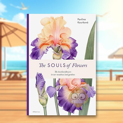 【预售】花卉的灵魂 植物插画集英文插画原画设定集进口原版书The Souls of Flowers精装Pavlina Kourkova著Albatros Media出版书