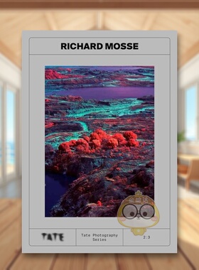 【预售】理查德莫斯【Tate Photography Series】Richard Mosse英文摄影师专辑Yasufumi Nakamori平装Tate Publishing进口原版书9