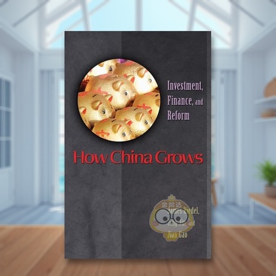 【预售】中国如何增长：投资、金融和改革 How China Grows: Investment， Finance， and Reform 原版英文社会科学进口书籍图书外