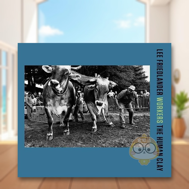 李·弗里德兰德：工作中的人-人类陶土