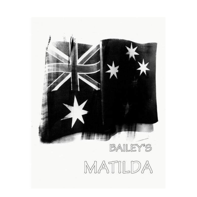 (预计12月出版)大卫&middot;贝利：